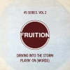 Fruition New Merch 45 Series Vol. 2 7" Vinyl