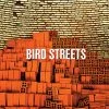 Bird Streets New Merch