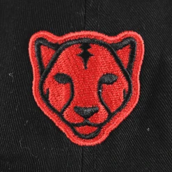 Black Pumas New Merch Monoline Dad Hat