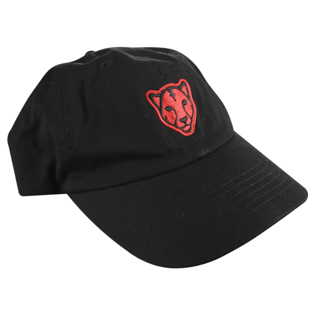 Black Pumas New Merch Monoline Dad Hat 3 Black Pumas New Merch Monoline Dad Hat