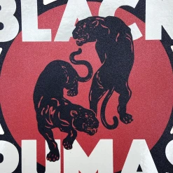 Black Pumas Double Puma Die Cut Sticker New Merch