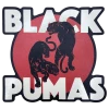 Black Pumas Double Puma Die Cut Sticker New Merch