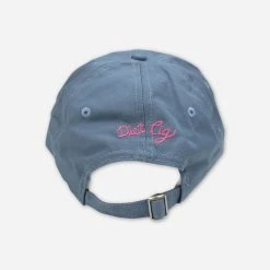 Diet Cig Link In Bio Dad Hat