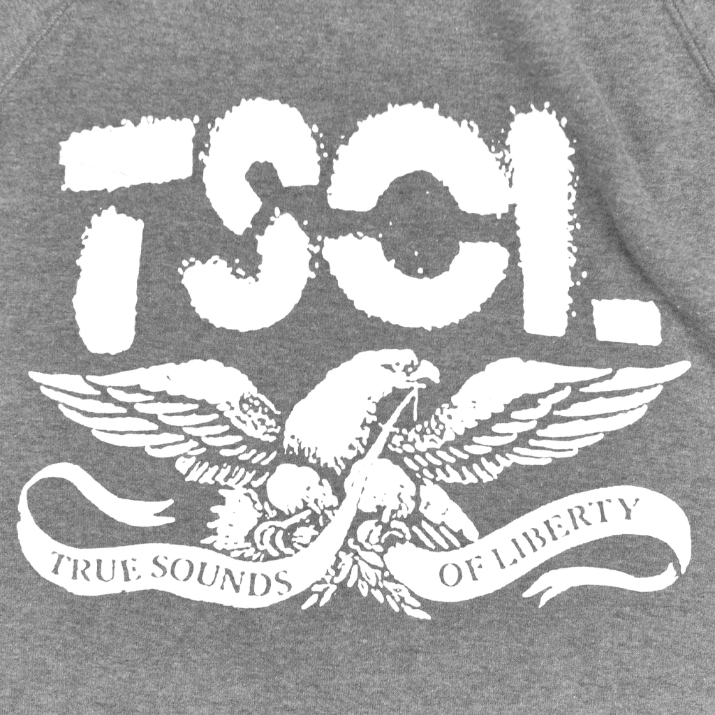 T.S.O.L. Logo Grey Zip Hoodie New Merch 2 T.S.O.L. Logo Grey Zip Hoodie New Merch