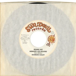 Sharon Haley Riding My Memory-Go-Round