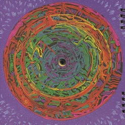 A Place To Bury Strangers Live At Death By Audio 2012 7