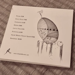 Billy Martin MESHES CD New Merch