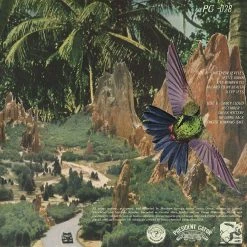 President Gator New Merch Matthew Reveles / Fancy Cloud 12" LP