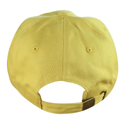 New Merch SPELLLING Logo Dad Hat