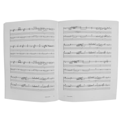 TTNG New Merch Disappointment Island Tablature Book Hard Copy