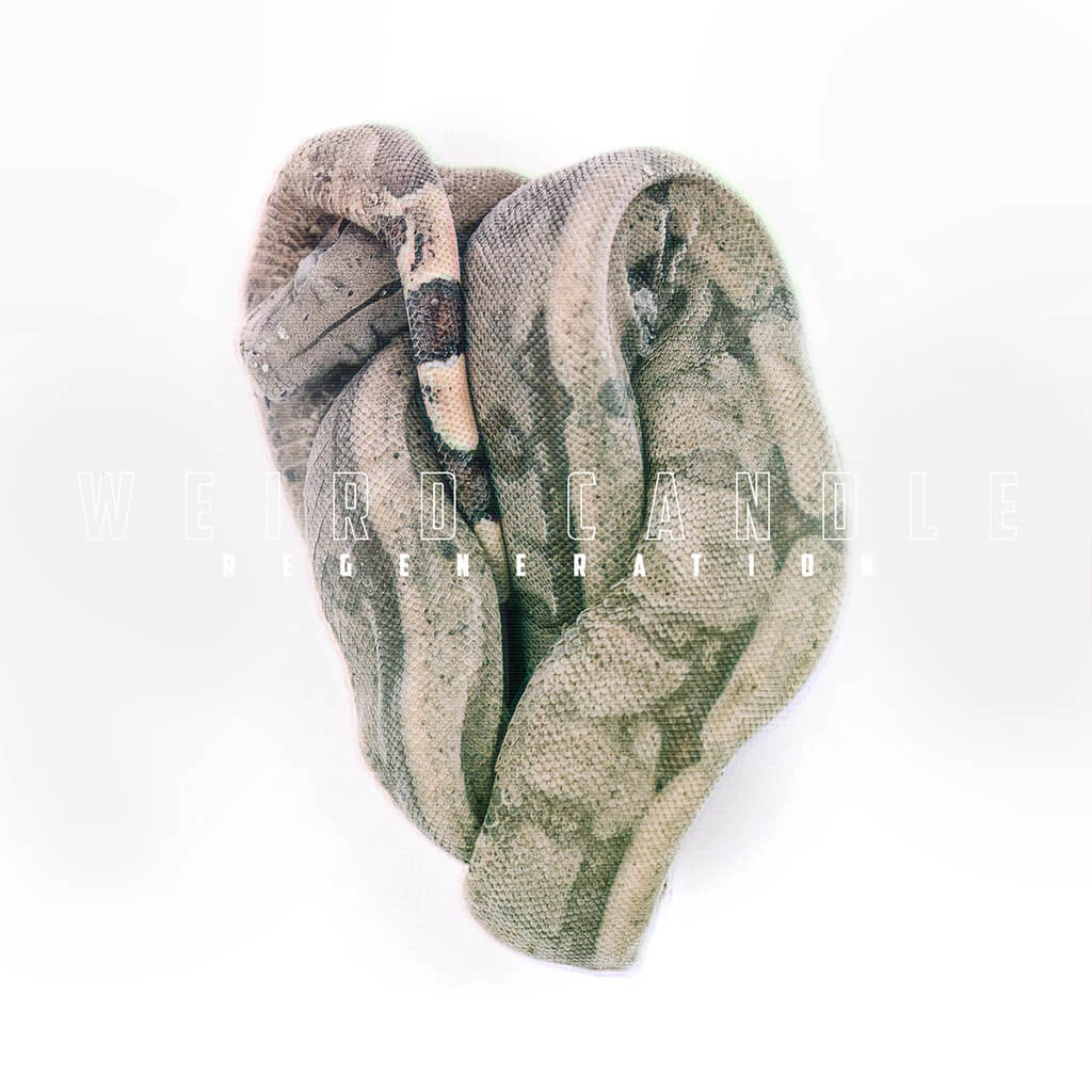 Weyrd Son Records New Merch Weird Candle - Regeneration 12" Black Vinyl 2 Weyrd Son Records New Merch Weird Candle - Regeneration 12" Black Vinyl