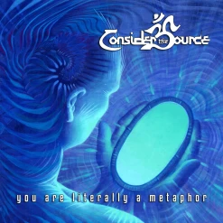 Consider The Source You Are Literally A Metaphor 12" Vinyl New Merch