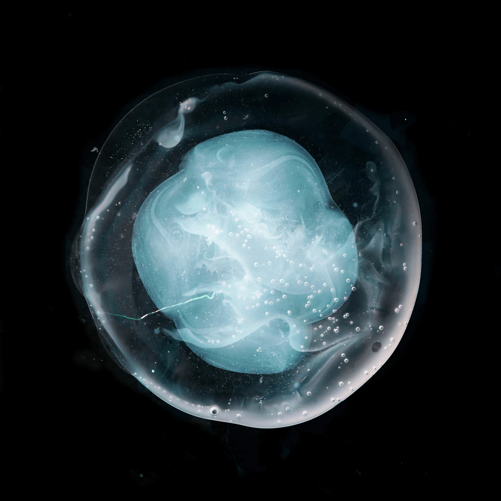 A Winged Victory For The Sullen The Undivided Five New Merch 2 A Winged Victory For The Sullen The Undivided Five New Merch