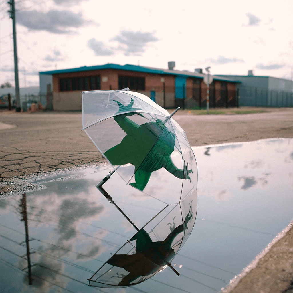 Failure Frog - Umbrella New Merch 1 Failure Frog - Umbrella New Merch